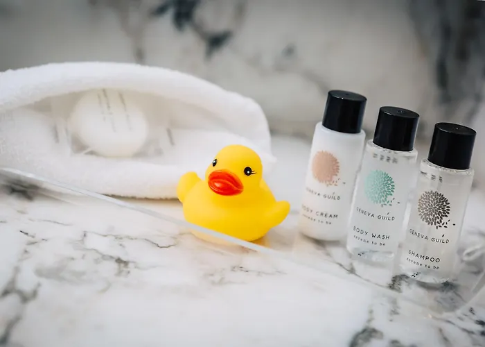 Отель Bay Conference & Leisure Centre 4*